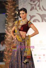 Model walks the ramp for Vikram Phadnis at Aamby Valley India Bridal Week day 4 on 1st Nov 2010 (65).JPG